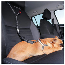 Two-in-One Dog Harness & Leash – Comfort, Control & Style for Every Walk.